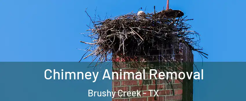  Chimney Animal Removal Brushy Creek - TX