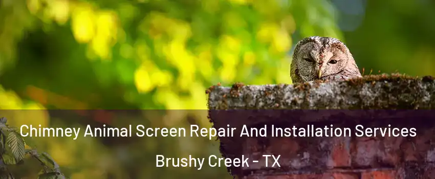  Chimney Animal Screen Repair And Installation Services Brushy Creek - TX