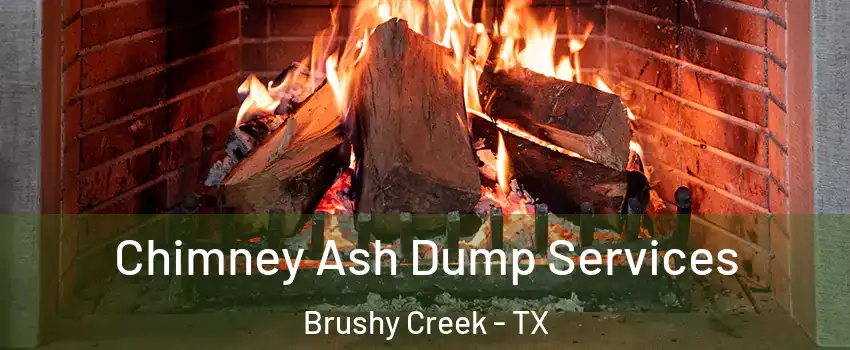  Chimney Ash Dump Services Brushy Creek - TX