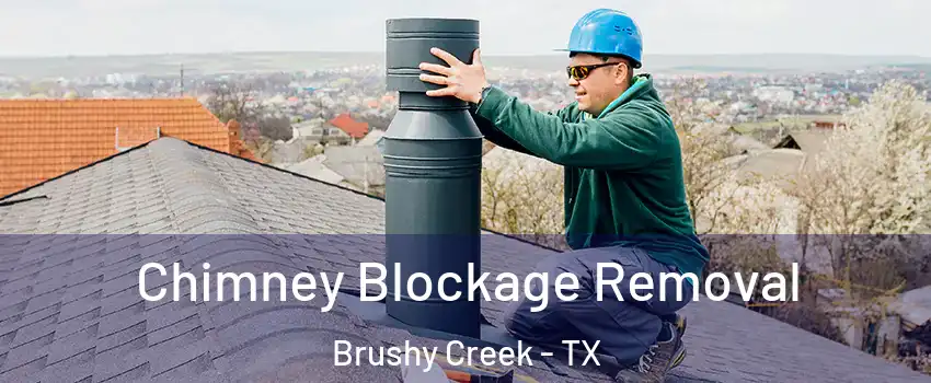  Chimney Blockage Removal Brushy Creek - TX
