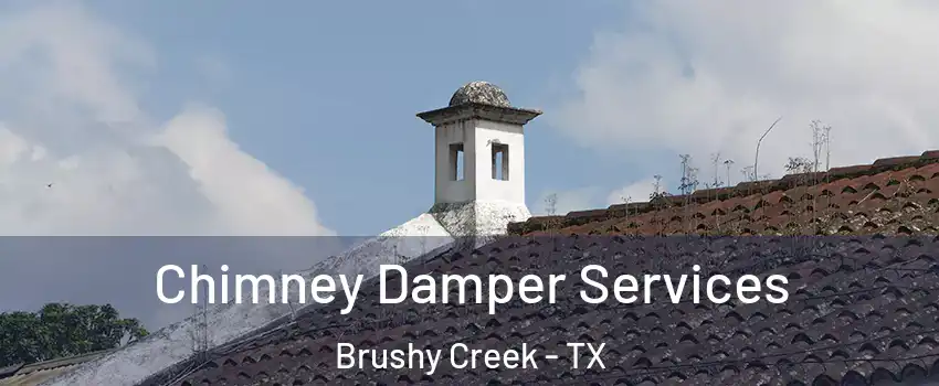  Chimney Damper Services Brushy Creek - TX