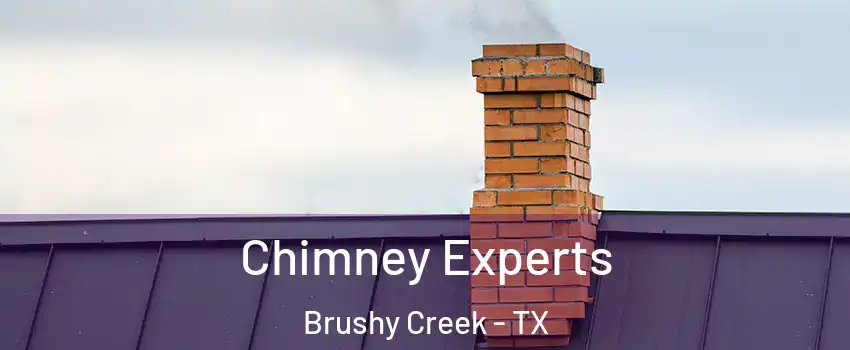  Chimney Experts Brushy Creek - TX