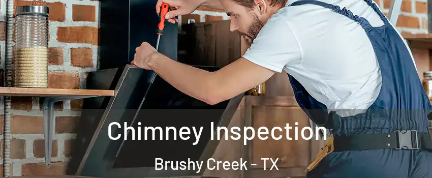  Chimney Inspection Brushy Creek - TX