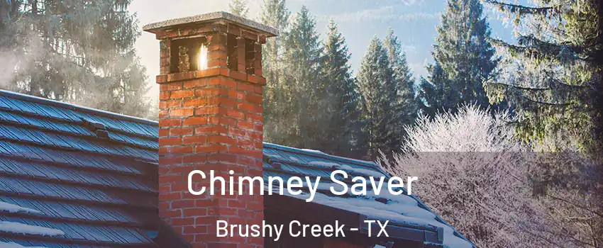  Chimney Saver Brushy Creek - TX