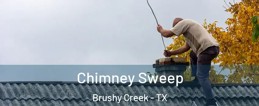  Chimney Sweep Brushy Creek - TX