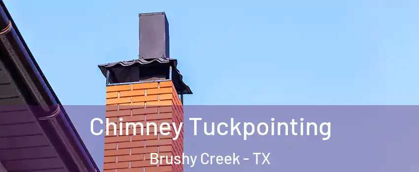  Chimney Tuckpointing Brushy Creek - TX