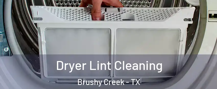  Dryer Lint Cleaning Brushy Creek - TX