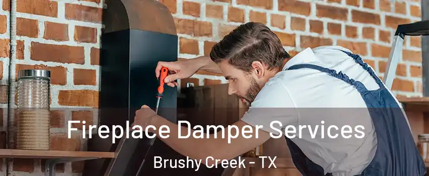  Fireplace Damper Services Brushy Creek - TX