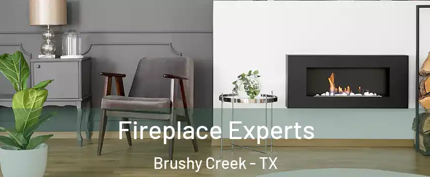  Fireplace Experts Brushy Creek - TX