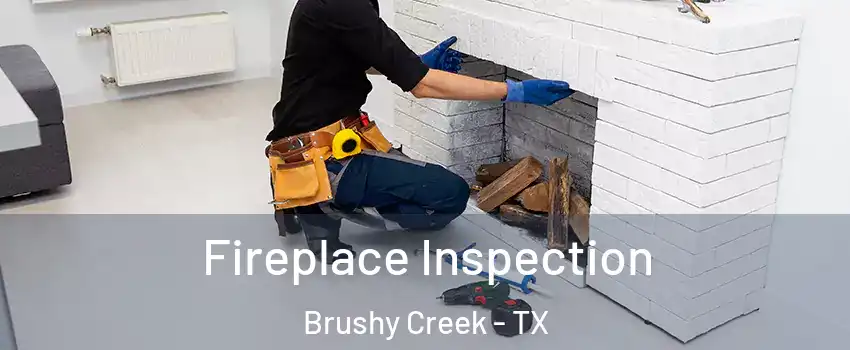  Fireplace Inspection Brushy Creek - TX