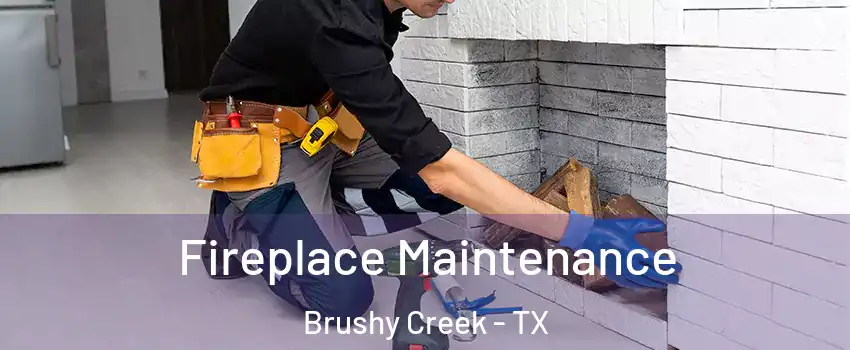  Fireplace Maintenance Brushy Creek - TX