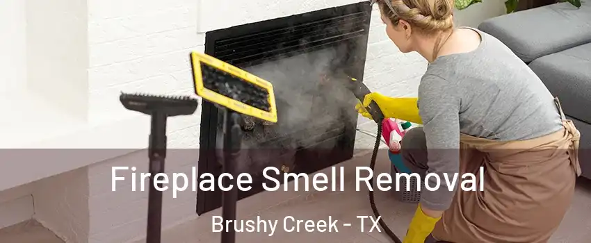  Fireplace Smell Removal Brushy Creek - TX