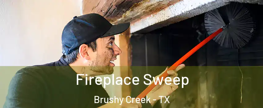  Fireplace Sweep Brushy Creek - TX