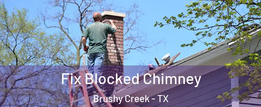  Fix Blocked Chimney Brushy Creek - TX