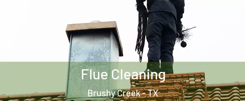  Flue Cleaning Brushy Creek - TX