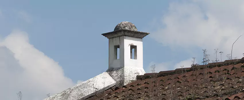 Cost To Rebuild A Chimney in Brushy Creek, TX