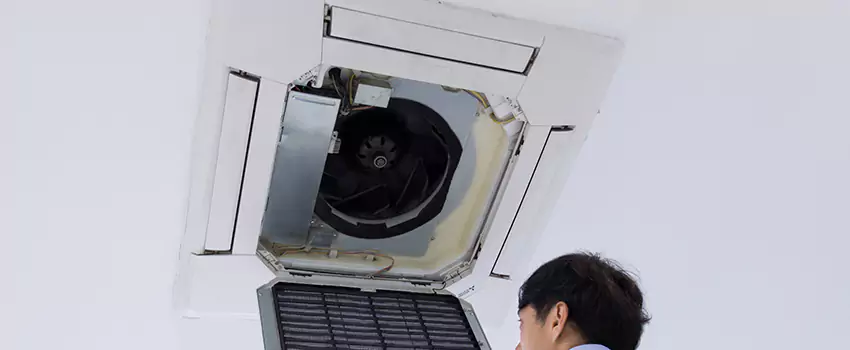 Benefits of Professional Air Duct Cleaning in Brushy Creek, Texas