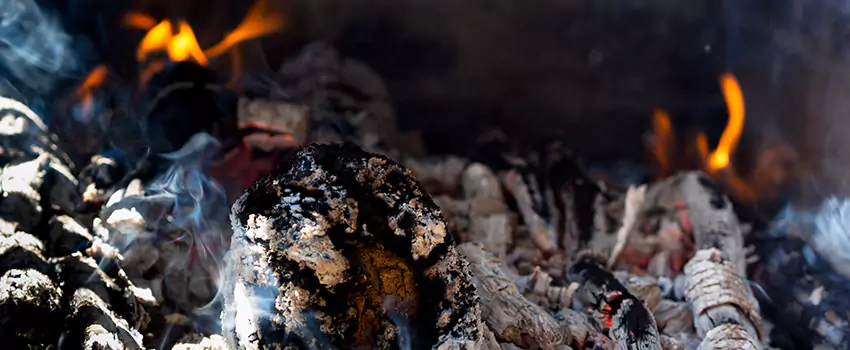 Creosote Removal Experts in Brushy Creek, TX