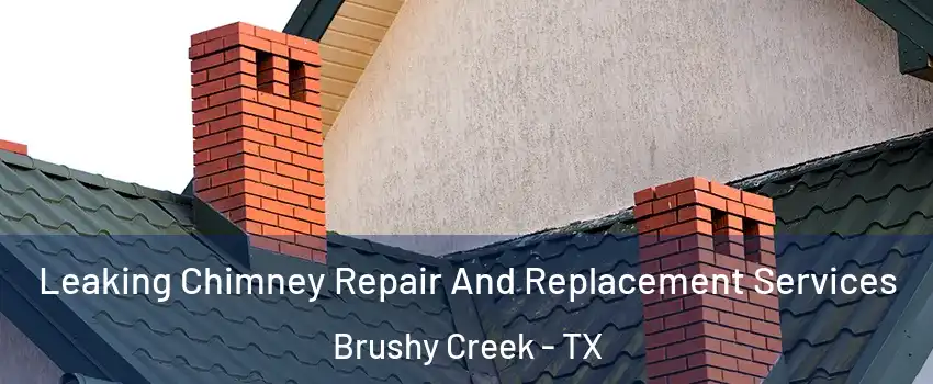  Leaking Chimney Repair And Replacement Services Brushy Creek - TX