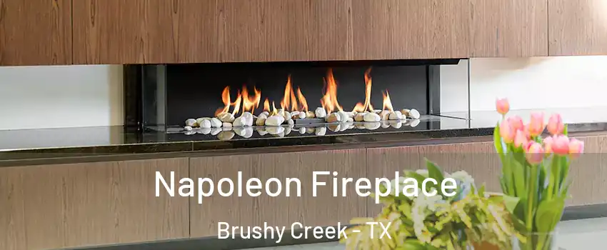  Napoleon Fireplace Brushy Creek - TX