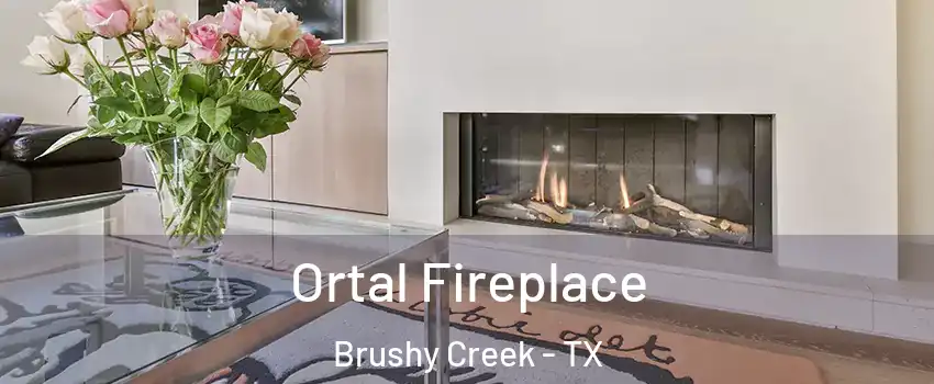  Ortal Fireplace Brushy Creek - TX