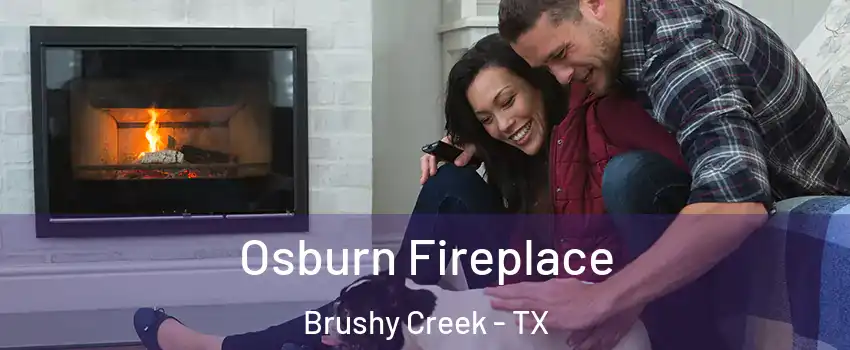  Osburn Fireplace Brushy Creek - TX